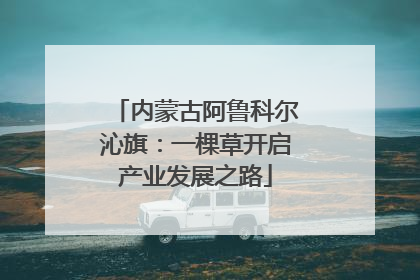 内蒙古阿鲁科尔沁旗：一棵草开启产业发展之路