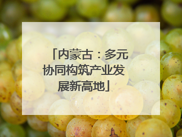 内蒙古：多元协同构筑产业发展新高地