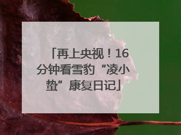 再上央视！16分钟看雪豹“凌小蛰”康复日记