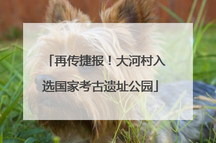 再传捷报！大河村入选国家考古遗址公园