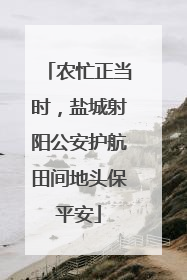 农忙正当时，盐城射阳公安护航田间地头保平安