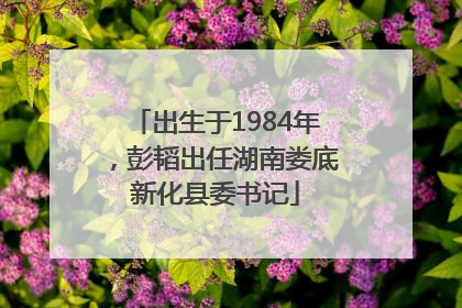 出生于1984年，彭韬出任湖南娄底新化县委书记