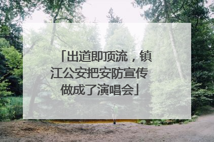 出道即顶流，镇江公安把安防宣传做成了演唱会