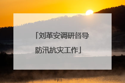 刘革安调研督导防汛抗灾工作