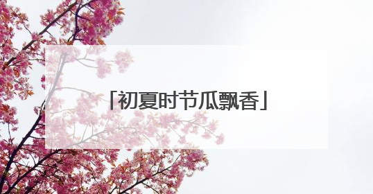 初夏时节瓜飘香