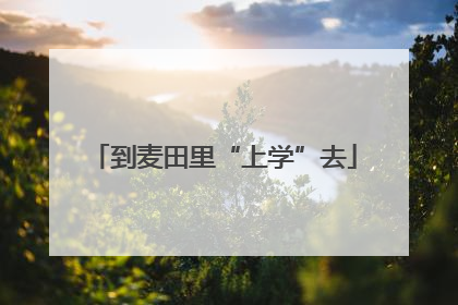 到麦田里“上学”去