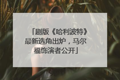 剧版《哈利波特》最新选角出炉，马尔福饰演者公开