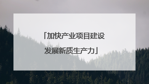 加快产业项目建设 发展新质生产力
