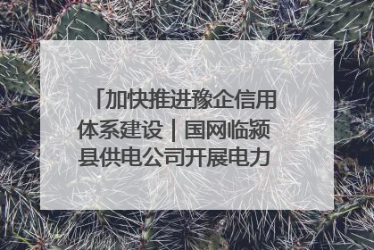 加快推进豫企信用体系建设｜国网临颍县供电公司开展电力行业信用企业现场咨询访谈工作