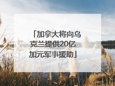 加拿大将向乌克兰提供20亿加元军事援助