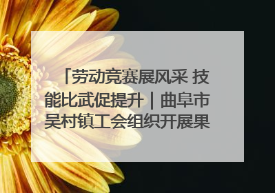 劳动竞赛展风采 技能比武促提升｜曲阜市吴村镇工会组织开展果树套袋技能竞赛