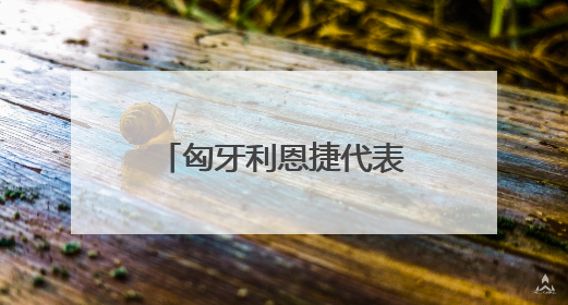匈牙利恩捷代表受邀出席海南自贸港匈牙利推介会