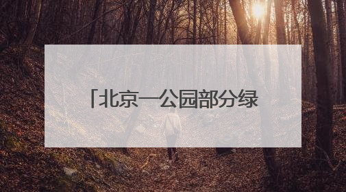 北京一公园部分绿地被淹，回应：地下水位上涨所致