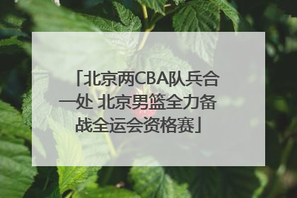 北京两CBA队兵合一处 北京男篮全力备战全运会资格赛
