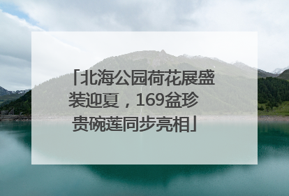 北海公园荷花展盛装迎夏，169盆珍贵碗莲同步亮相