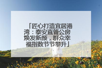 匠心打造宜居港湾：泰安直管公房焕发新颜，群众幸福指数节节攀升
