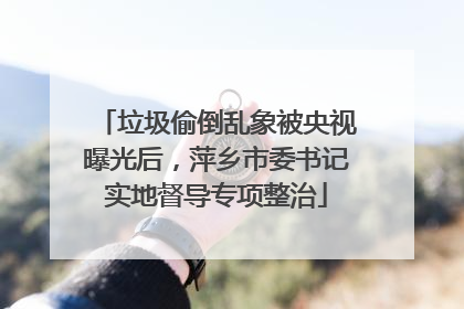 垃圾偷倒乱象被央视曝光后，萍乡市委书记实地督导专项整治