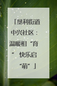 垦利街道中兴社区：温暖相“育” 快乐启“萌”
