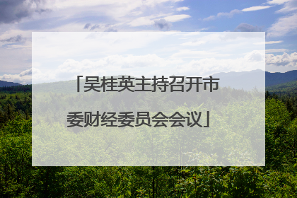 吴桂英主持召开市委财经委员会会议