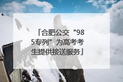 合肥公交“985专列”为高考考生提供接送服务