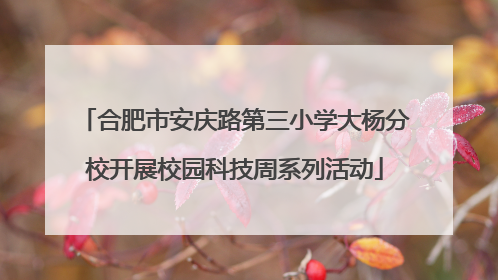 合肥市安庆路第三小学大杨分校开展校园科技周系列活动
