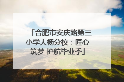 合肥市安庆路第三小学大杨分校：匠心筑梦 护航毕业季