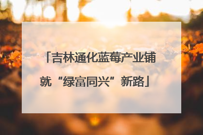 吉林通化蓝莓产业铺就“绿富同兴”新路