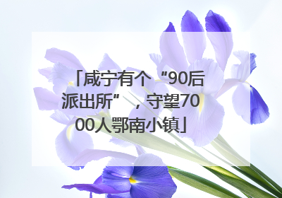 咸宁有个“90后派出所”，守望7000人鄂南小镇