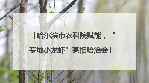 哈尔滨市农科院赋能，“寒地小龙虾”亮相哈洽会