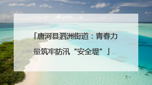 唐河县泗洲街道：青春力量筑牢防汛“安全堤”