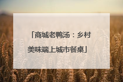 商城老鸭汤：乡村美味端上城市餐桌