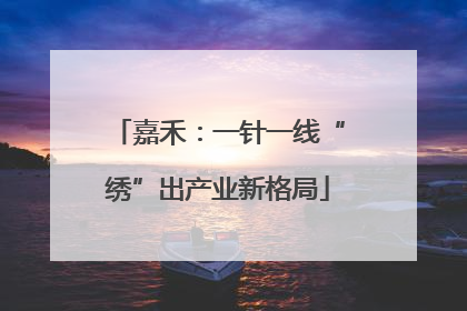 嘉禾：一针一线“绣”出产业新格局