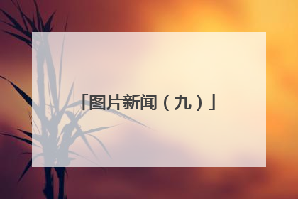 图片新闻（九）