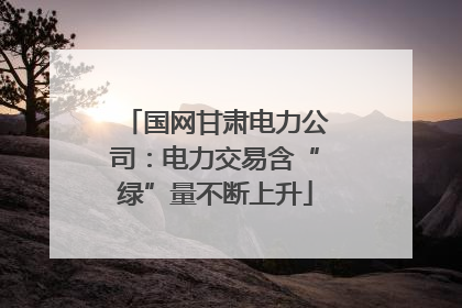 国网甘肃电力公司：电力交易含“绿”量不断上升