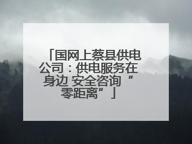 国网上蔡县供电公司：供电服务在身边 安全咨询“零距离”