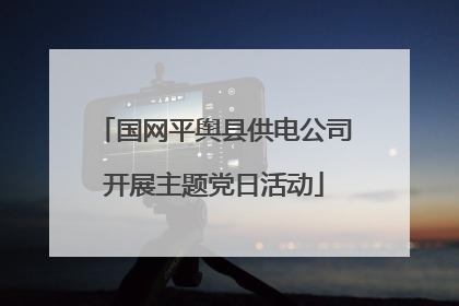 国网平舆县供电公司开展主题党日活动