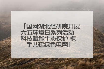 国网湖北经研院开展六五环境日系列活动 科技赋能生态保护 携手共建绿色电网
