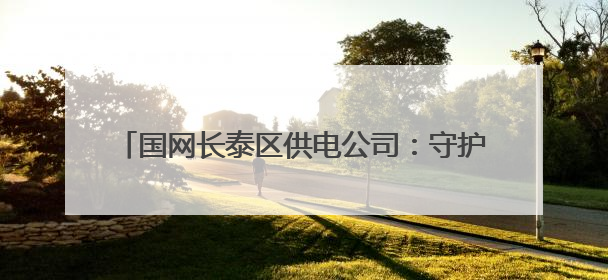 国网长泰区供电公司：守护绿色生产赋能世界环境日