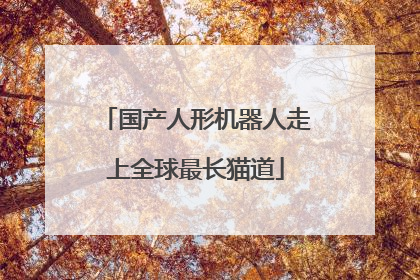 国产人形机器人走上全球最长猫道