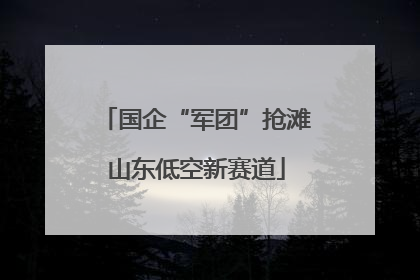 国企“军团”抢滩山东低空新赛道