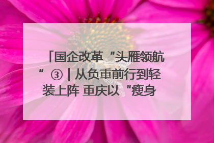 国企改革“头雁领航”③｜从负重前行到轻装上阵 重庆以“瘦身”谋“健体”