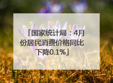 国家统计局：4月份居民消费价格同比下降0.1%