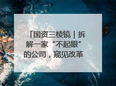国资三棱镜｜拆解一家“不起眼”的公司，窥见改革中的山东国企