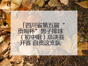 四川省第五届“贡嘎杯”男子排球（初中组）总决赛开赛 自贡这支队伍打进半决赛