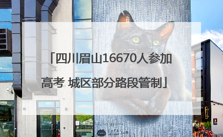 四川眉山16670人参加高考 城区部分路段管制
