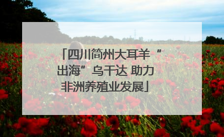 四川简州大耳羊“出海”乌干达 助力非洲养殖业发展