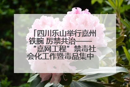 四川乐山举行嘉州铁腕 厉禁共治——“嘉网工程”禁毒社会化工作暨毒品集中销毁启动仪式