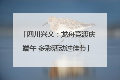 四川兴文：龙舟竞渡庆端午 多彩活动过佳节