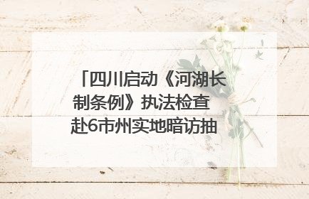 四川启动《河湖长制条例》执法检查 赴6市州实地暗访抽查｜四川人大之声