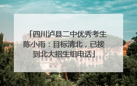 四川泸县二中优秀考生陈小雨：目标清北，已接到北大招生组电话